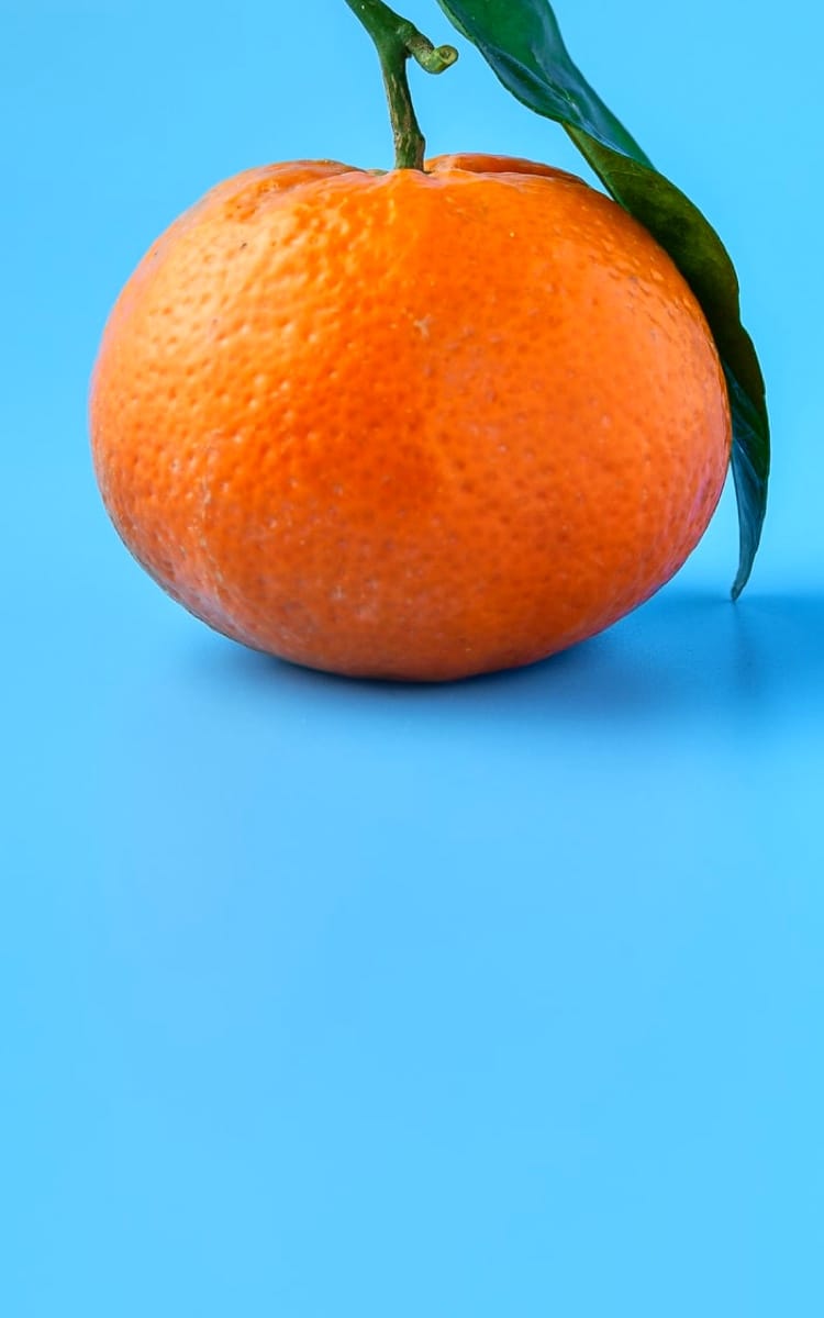 image of an orange